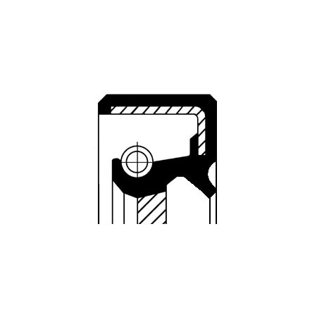 Corteco Radial Oil Seal Cam, 20026696B 20026696B